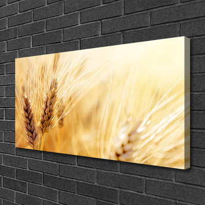 Quadro su tela Grano vegetale naturale