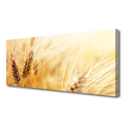 Quadro su tela Grano vegetale naturale