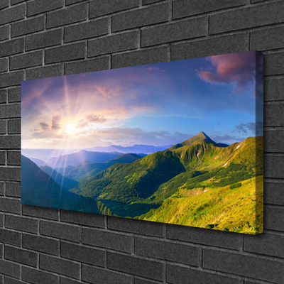 Quadro su tela Paesaggio del sole del prato di montagna