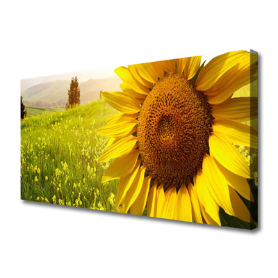 Quadro su tela Pianta di fiori di girasole