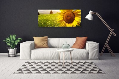 Quadro su tela Pianta di fiori di girasole