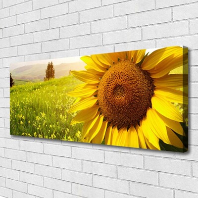 Quadro su tela Pianta di fiori di girasole