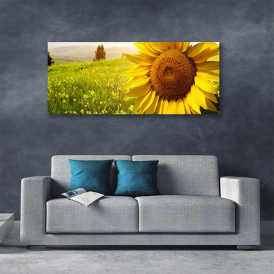 Quadro su tela Pianta di fiori di girasole