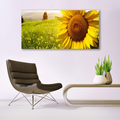 Quadro su tela Pianta di fiori di girasole