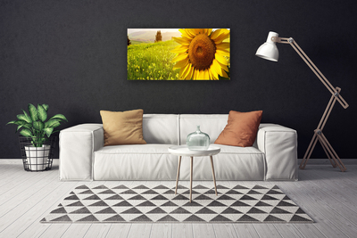 Quadro su tela Pianta di fiori di girasole