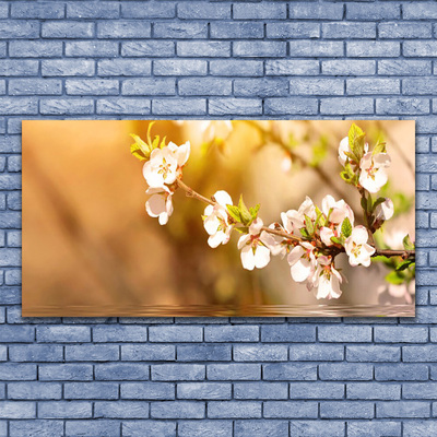 Stampa quadro su tela Fiori, piante, natura