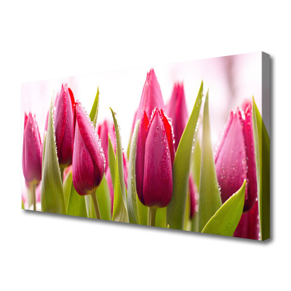 Quadro su tela Tulipani, fiori, piante