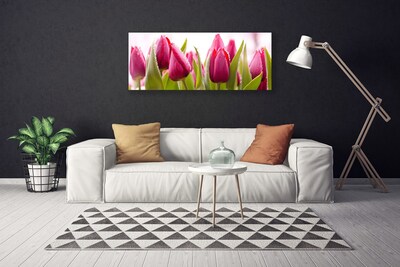 Quadro su tela Tulipani, fiori, piante