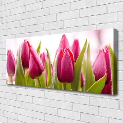 Quadro su tela Tulipani, fiori, piante