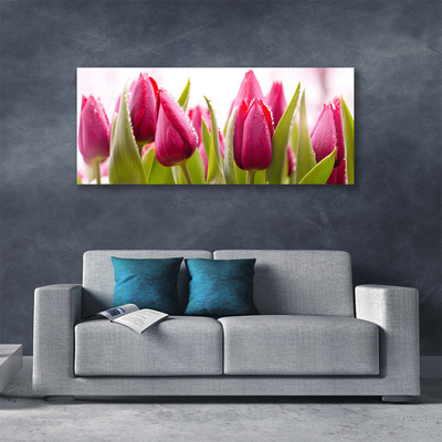 Quadro su tela Tulipani, fiori, piante