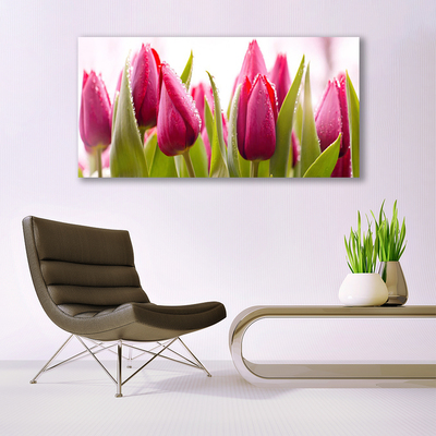 Quadro su tela Tulipani, fiori, piante