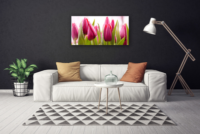 Quadro su tela Tulipani, fiori, piante