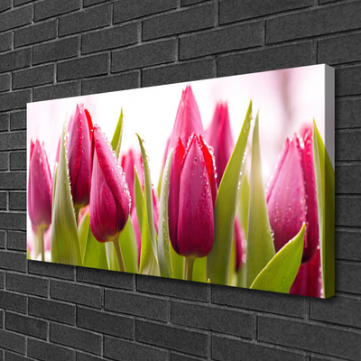 Quadro su tela Tulipani, fiori, piante