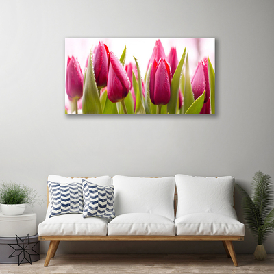 Quadro su tela Tulipani, fiori, piante