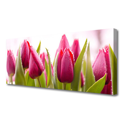 Quadro su tela Tulipani, fiori, piante