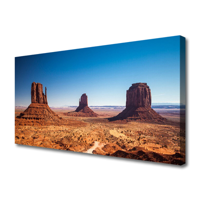 Quadro su tela Paesaggio delle montagne del deserto