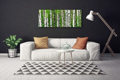 Quadro su tela Foresta, piante, natura