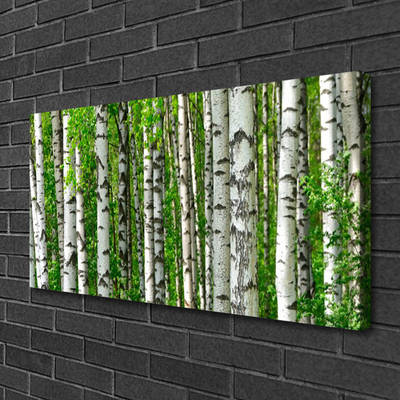 Quadro su tela Foresta, piante, natura