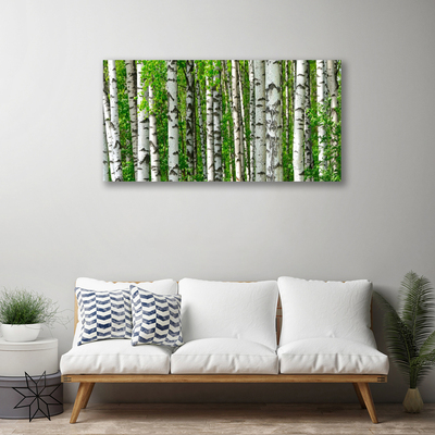 Quadro su tela Foresta, piante, natura