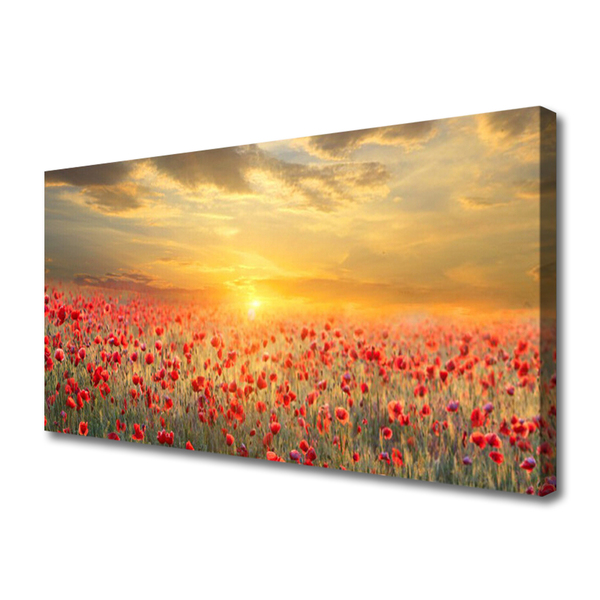 Quadro su tela Fiori di papavero del prato del sole