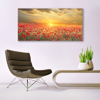 Quadro su tela Fiori di papavero del prato del sole