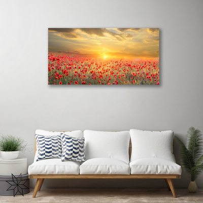 Quadro su tela Fiori di papavero del prato del sole