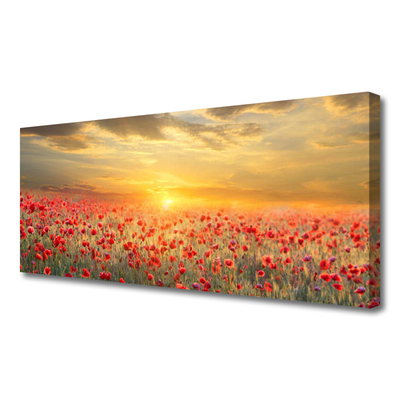 Quadro su tela Fiori di papavero del prato del sole