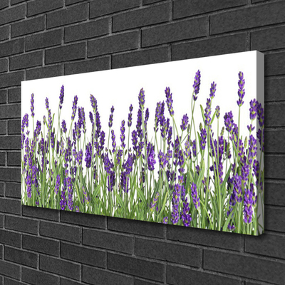 Quadro su tela Fiori, piante, natura