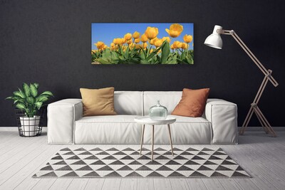 Quadro su tela Tulipani, fiori, piante