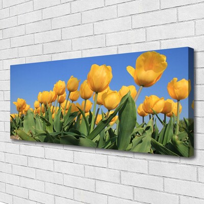 Quadro su tela Tulipani, fiori, piante