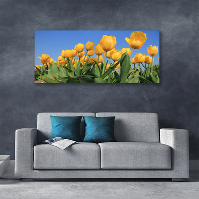 Quadro su tela Tulipani, fiori, piante