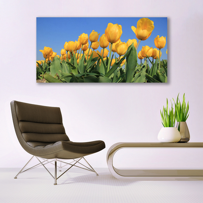 Quadro su tela Tulipani, fiori, piante