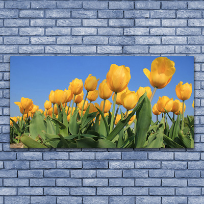 Quadro su tela Tulipani, fiori, piante