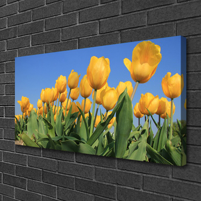 Quadro su tela Tulipani, fiori, piante