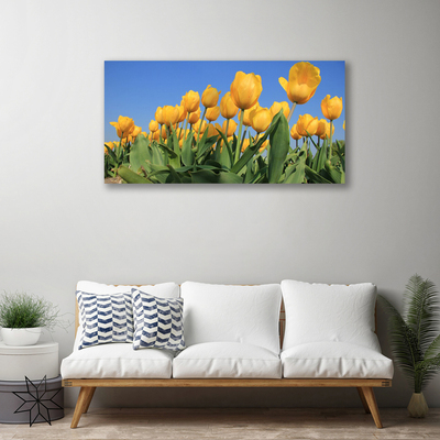 Quadro su tela Tulipani, fiori, piante