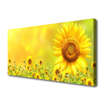 Stampa quadro su tela Pianta di fiori di girasole