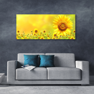 Stampa quadro su tela Pianta di fiori di girasole