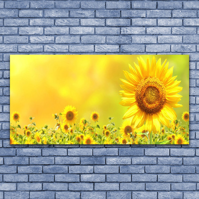 Stampa quadro su tela Pianta di fiori di girasole