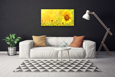 Stampa quadro su tela Pianta di fiori di girasole