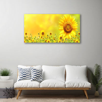 Stampa quadro su tela Pianta di fiori di girasole