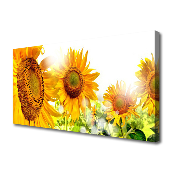 Quadro su tela Pianta di fiori di girasole