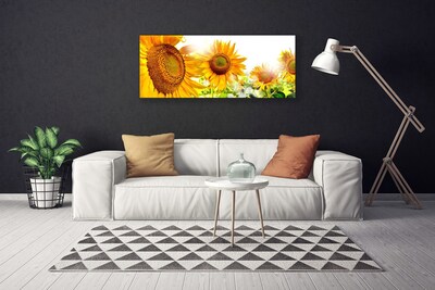 Quadro su tela Pianta di fiori di girasole