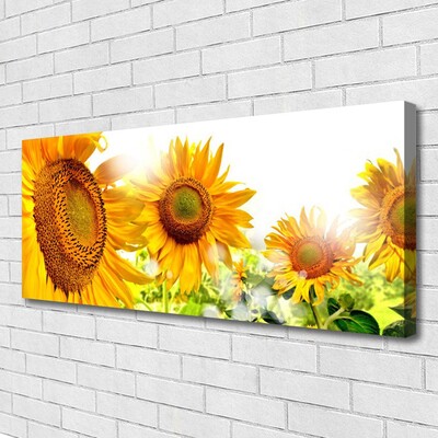 Quadro su tela Pianta di fiori di girasole