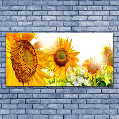 Quadro su tela Pianta di fiori di girasole