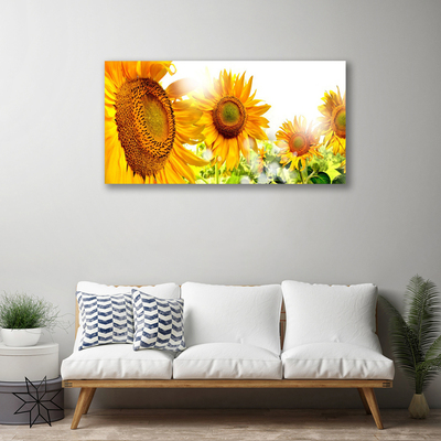 Quadro su tela Pianta di fiori di girasole