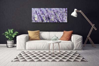 Foto quadro su tela Fiori, piante, natura