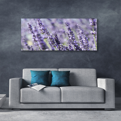 Foto quadro su tela Fiori, piante, natura