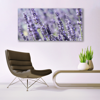 Foto quadro su tela Fiori, piante, natura