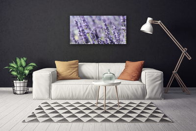 Foto quadro su tela Fiori, piante, natura