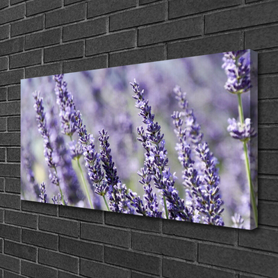 Foto quadro su tela Fiori, piante, natura